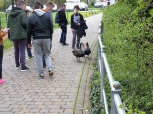 Nem csak mi sétáltunk a parkban.