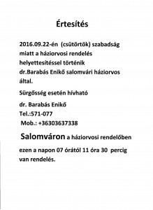 haziorvosi_helyettesites